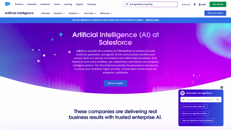 Salesforce Einstein AI as a Customer Segmentation and Prediction tool screenshot
