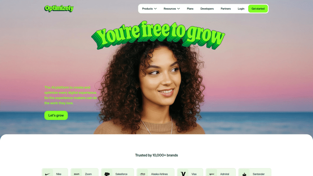 Optimizely among customer segmentation tools